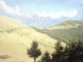Високогорные луга на хребте горы Парашки