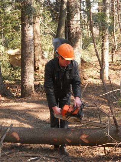 практичне навчання робітників лісозаготівельних бригад