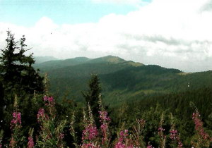 Гора Парашка - найвища вершина на території НПП