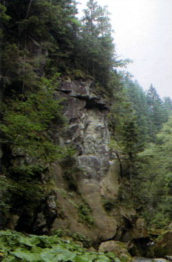 Скелі на лівому березі р. Кам'янка