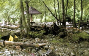Зона відпочинку на р. Кам'янка, пошкоджена під дією злив у кінці липня 2004 р.