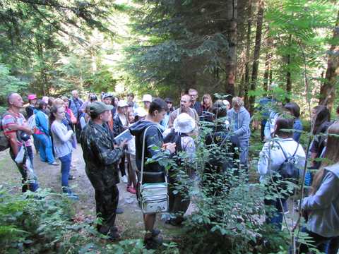 ІХ Всеукраїнський експедиційно-польовий збір команд юних екологів