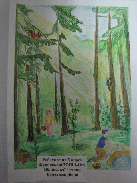 конкурс на кращий дитячий малюнок та твір за темою «Людина і ліс»